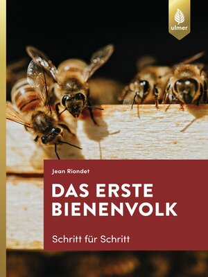 cover image of Das erste Bienenvolk--Schritt für Schritt